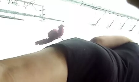 Indah bokep jav123 Pencuri Tidak Akan Pernah Lagi Menghabiskan