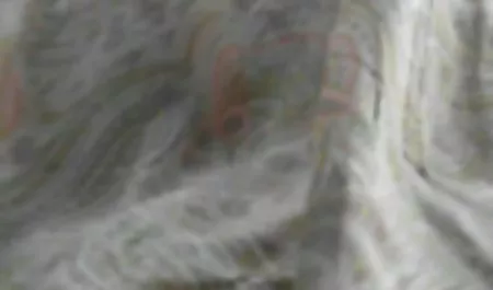 Doggy-ngentot Toket kencang gendut bokep jav hihi hd wanita gemuk